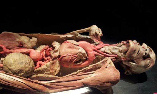 Mostra Body Worlds